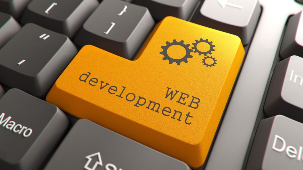 Web Development Company in Panchkula